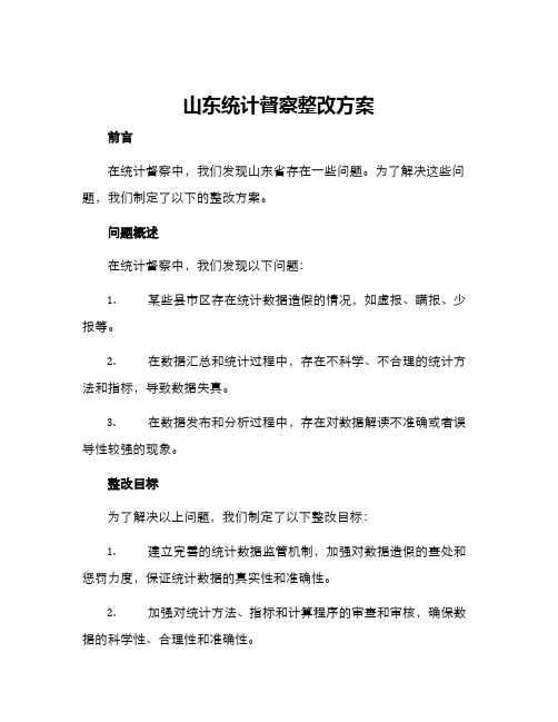 山东统计督察整改方案