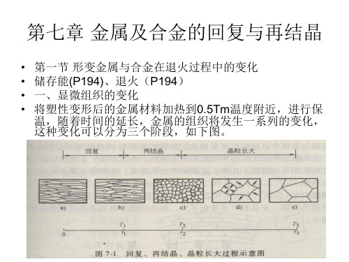 第七章 金属及合金的回复与再结晶PPT课件