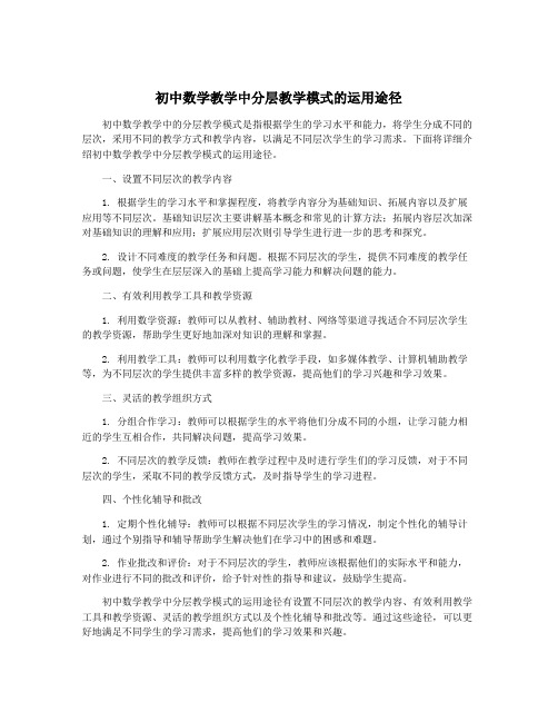 初中数学教学中分层教学模式的运用途径