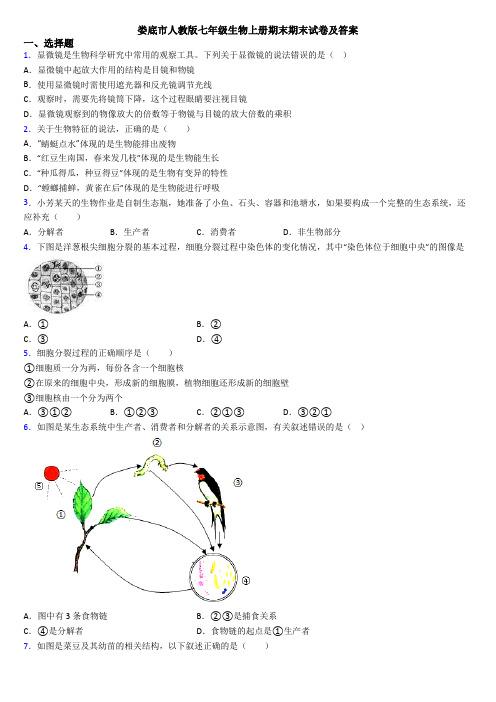 娄底市人教版七年级生物上册期末期末试卷及答案