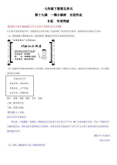 B组专项突破-19《一棵小桃树》