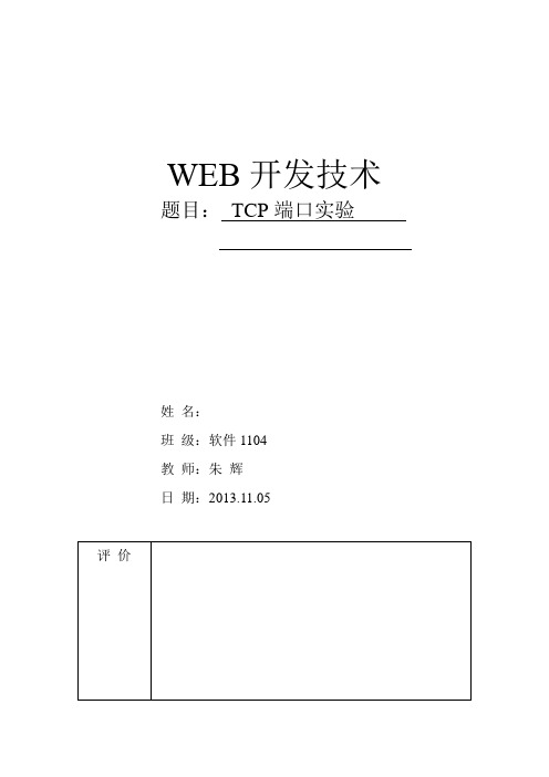 TCP端口实验报告