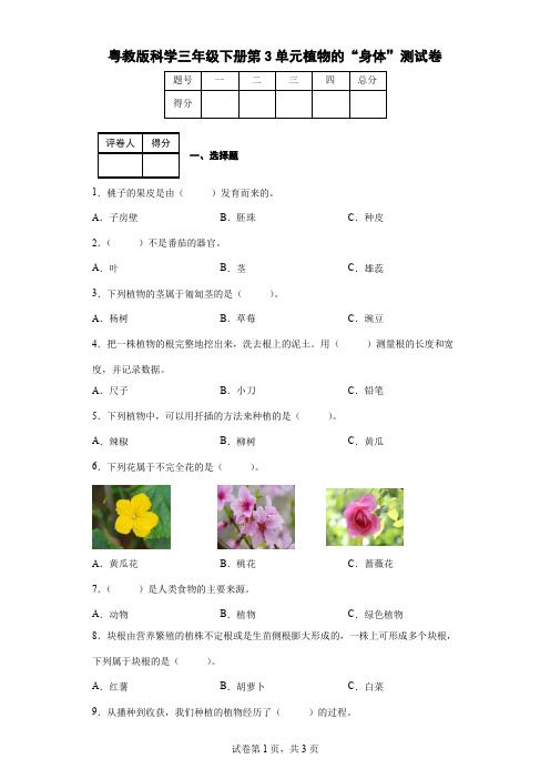 粤教版科学三年级下册第3单元植物的“身体”测试卷