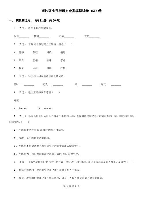 南沙区小升初语文全真模拟试卷 (5)B卷