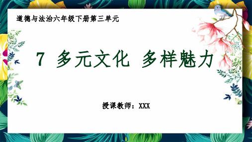 部编版道德与法治《多元文化多样魅力》说课PPT