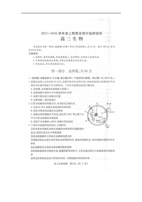 安徽省太和县太和中学度高三生物上期期末抽测调研试题