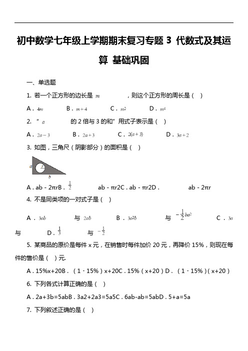 初中数学七年级上学期期末复习专题3 代数式及其运算 基础巩固套真题