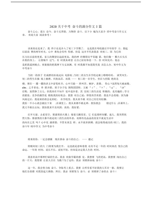 2020关于中考奋斗的满分作文5篇.docx