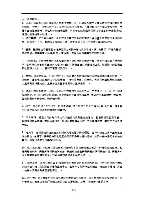 组织学及胚胎学名词解释