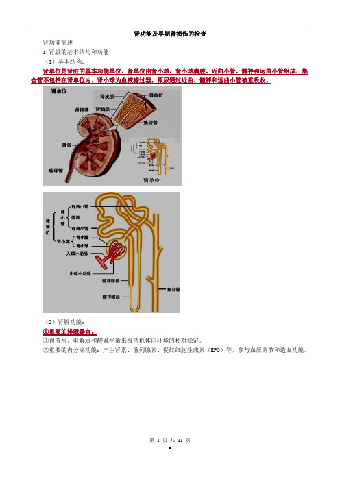 2017年初级检验技师考试《临床化学》讲义 肾功能及早期肾损伤的检查