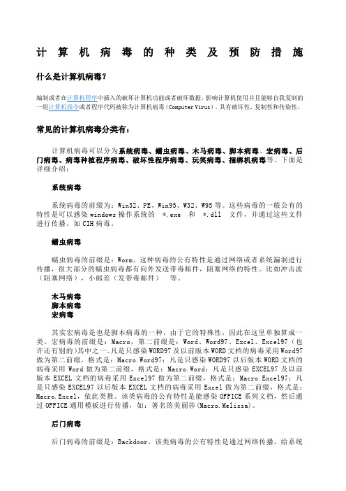 计算机病毒的种类及预防措施