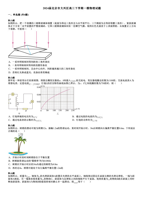 2024届北京市大兴区高三下学期一模物理试题 (2)