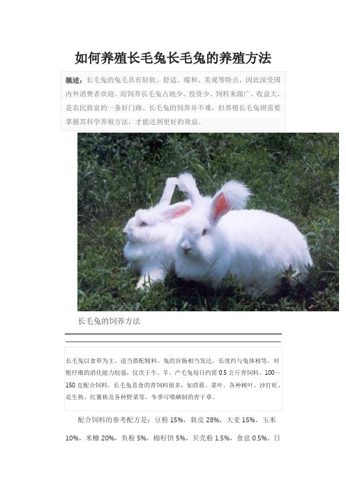 如何养殖长毛兔长毛兔的养殖方法