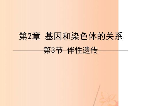 高中生物23伴性遗传课件1新人教版必修2