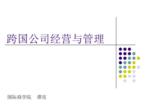 第2章 跨国公司基本理论