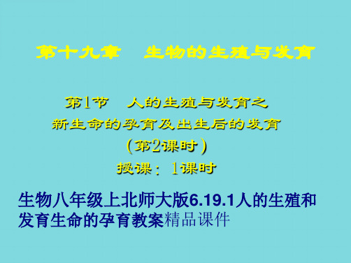 生物八年级上北师大版6.19.1人的生殖和发育生命的孕育精品课件1(共20张PPT)