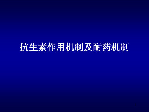 抗生素作用机制及耐药机制ppt课件