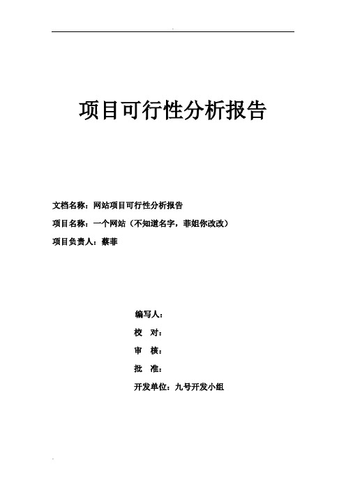 信息化网站开发可行性分析报告