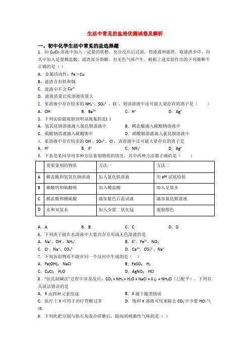 生活中常见的盐培优测试卷及解析