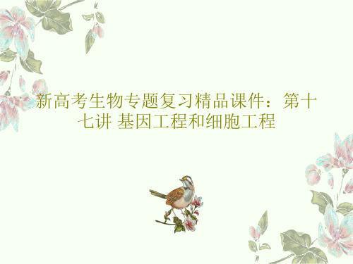 新高考生物专题复习精品课件：第十七讲 基因工程和细胞工程共45页