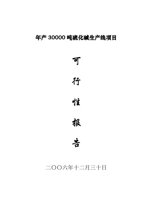 30000吨年硫化碱新建项目可行性研究报告