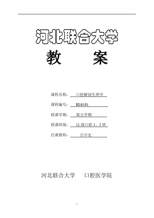 口腔解剖生理学新教案白