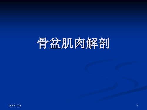 骨盆肌肉MRI解剖 ppt课件