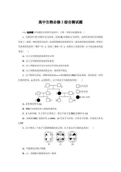 高中生物必修2综合测试题