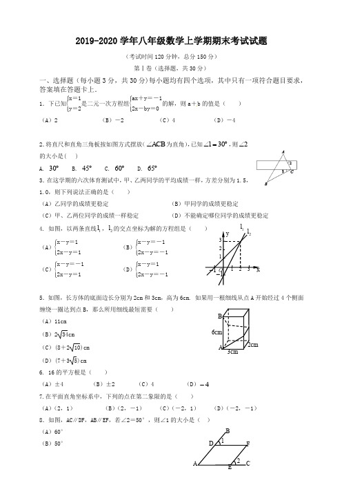 2019-2020学年吉林省汪清县八年级数学上册期末考试试题有答案-精品推荐