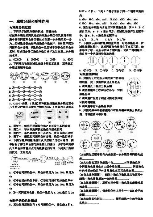 高一生物减数分裂专题