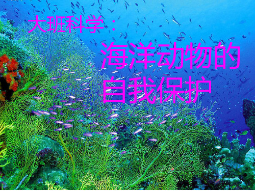 科学：海洋生物自我保护