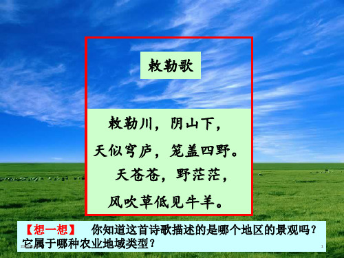 人教版高一地理 必修2 3.3以畜牧业为主的农业地域类型共29张PPT)