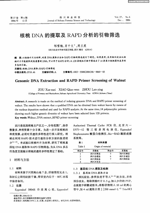 核桃DNA的提取及RAPD分析的引物筛选