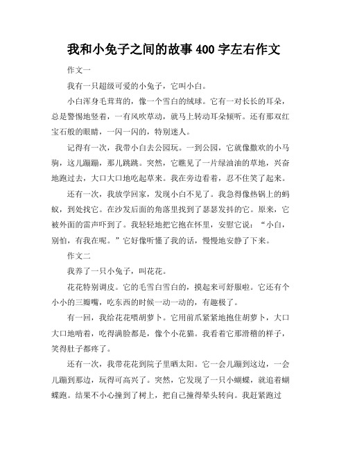 我和小免子之间的故事400字左右作文