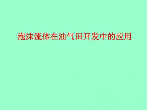 泡沫流体应用技术介绍