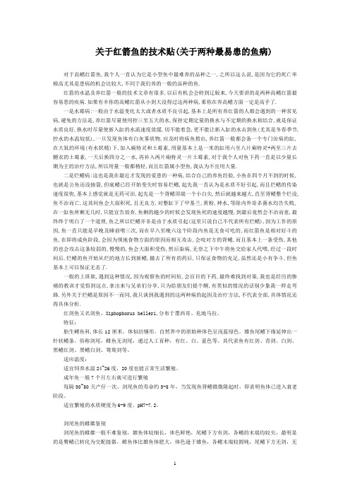 关于红箭鱼的技术贴