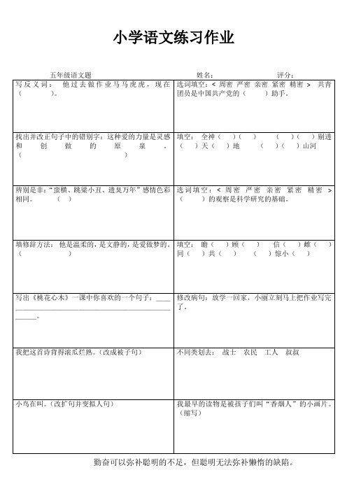 五年级语文课堂拓展精选练习IV (93)