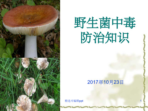 野生菌中毒预防知识