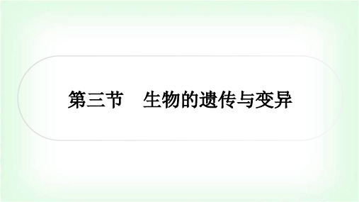 中考生物复习主题六生物的生殖、发育与遗传第三节生物的遗传与变异课件