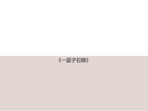 美术线描一篮子石榴