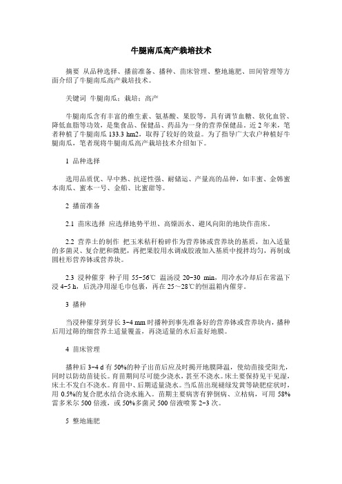 牛腿南瓜高产栽培技术