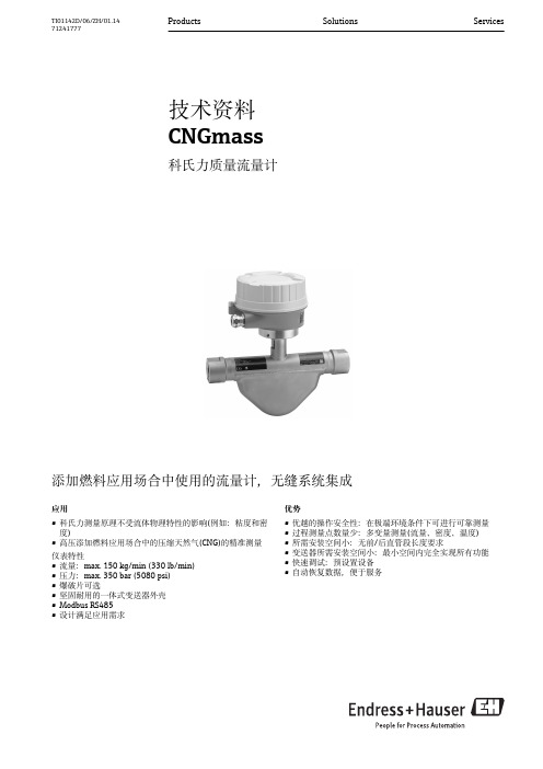 E+H CNGmass 科氏力质量流量计技术资料