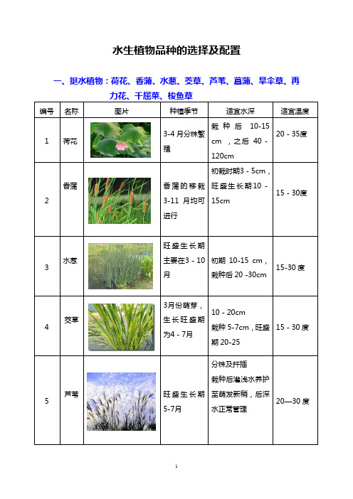 水生植物品种的选择及配置