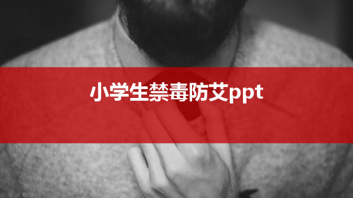 小学生禁毒防艾ppt