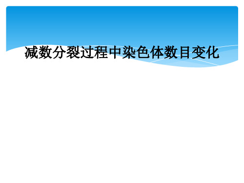 减数分裂过程中染色体数目变化