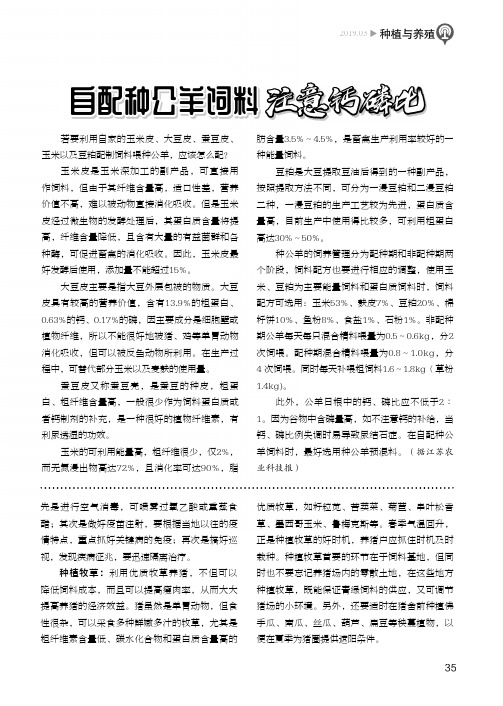自配种公羊饲料注意钙磷比