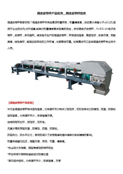 调速皮带秤产品优势__调速皮带秤批发