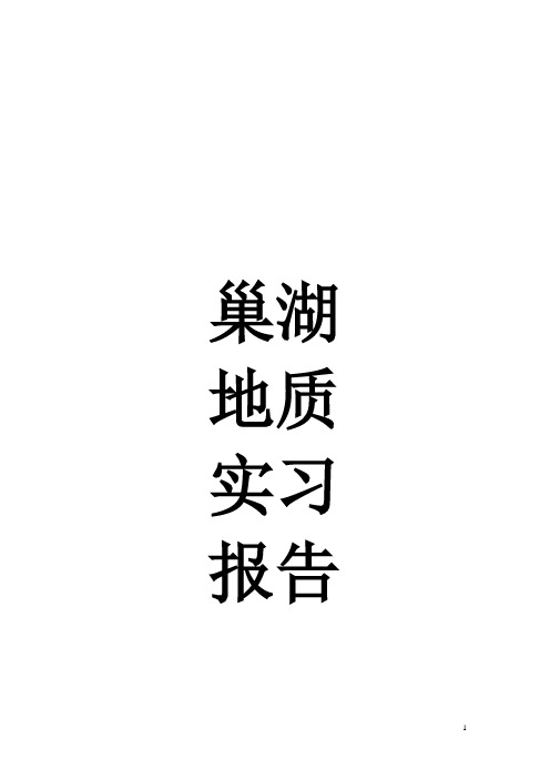 巢湖地质实习报告