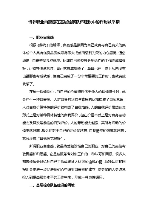 培养职业自豪感在基层检察队伍建设中的作用及举措