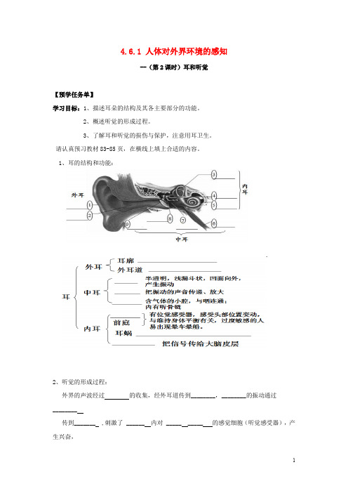 七年级生物下册 第四单元 第六章 第1节 人体对外界环境的感知(第2课时)导学案(答案不全)(新版)